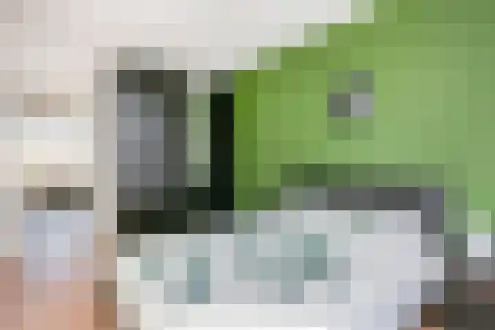 Van Eysingalaan 24 Utrecht thumbnail 15