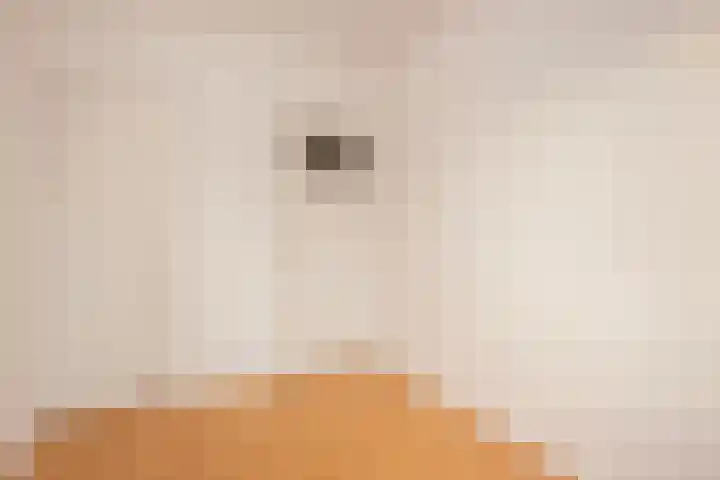 Van Eysingalaan 318 Utrecht thumbnail 18