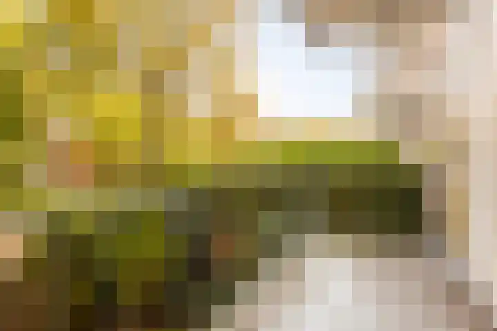 Van Eysingalaan 318 Utrecht thumbnail 8