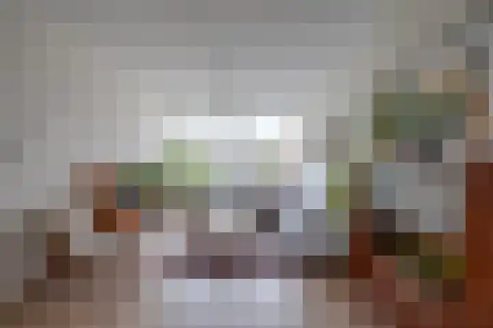 Van Eysingalaan 323 Utrecht thumbnail 11