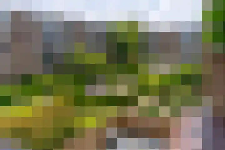 Van Eysingalaan 323 Utrecht thumbnail 14