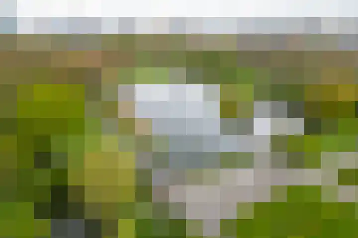 Van Eysingalaan 323 Utrecht thumbnail 31