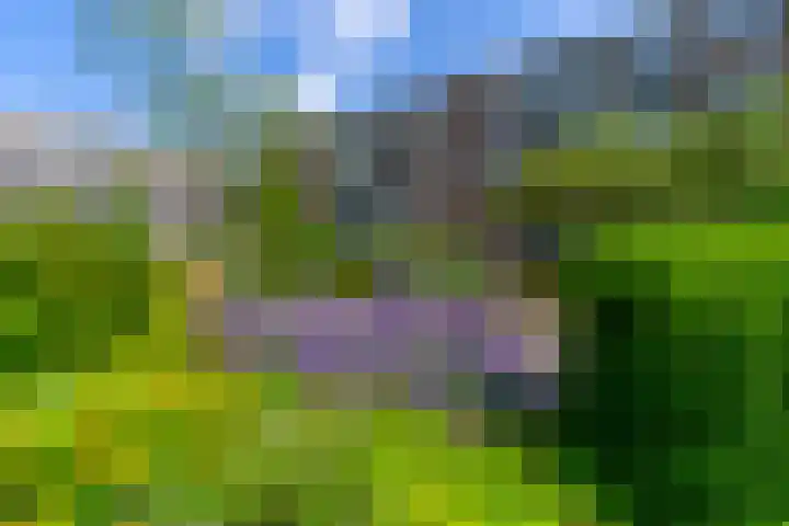 Van Eysingalaan 323 Utrecht thumbnail 38