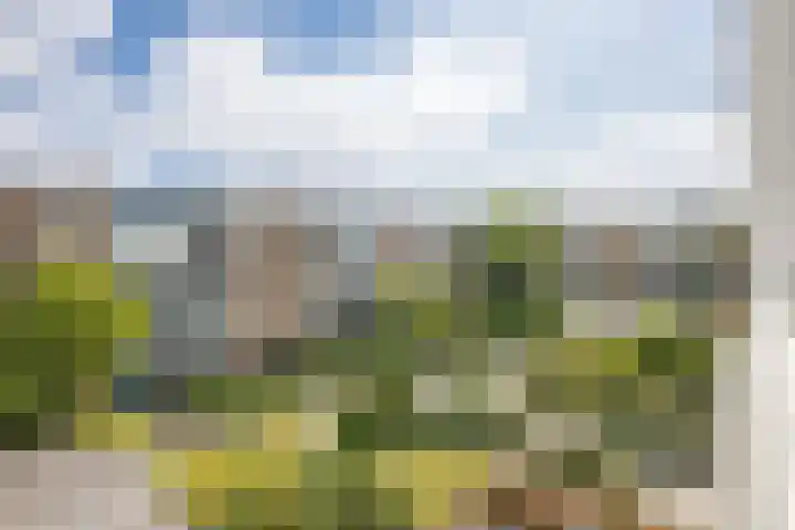 Van Eysingalaan 327 Utrecht thumbnail 19