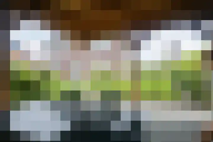 Van Foreestallee 7 Hardenberg thumbnail 40