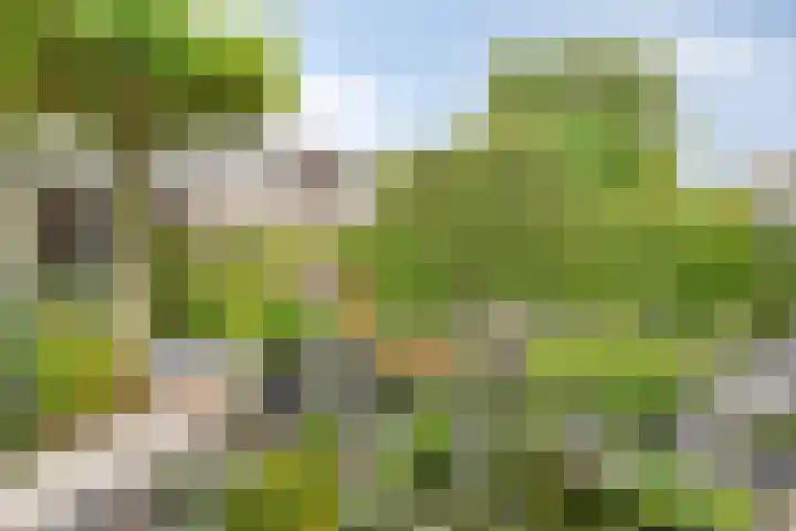 Van Foreestlaan 23 Barendrecht thumbnail 25