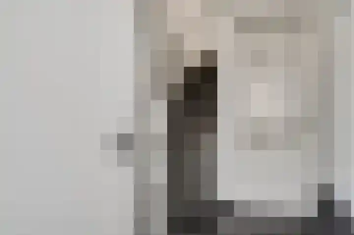 Van Frezinstraat 5 Horst thumbnail 11