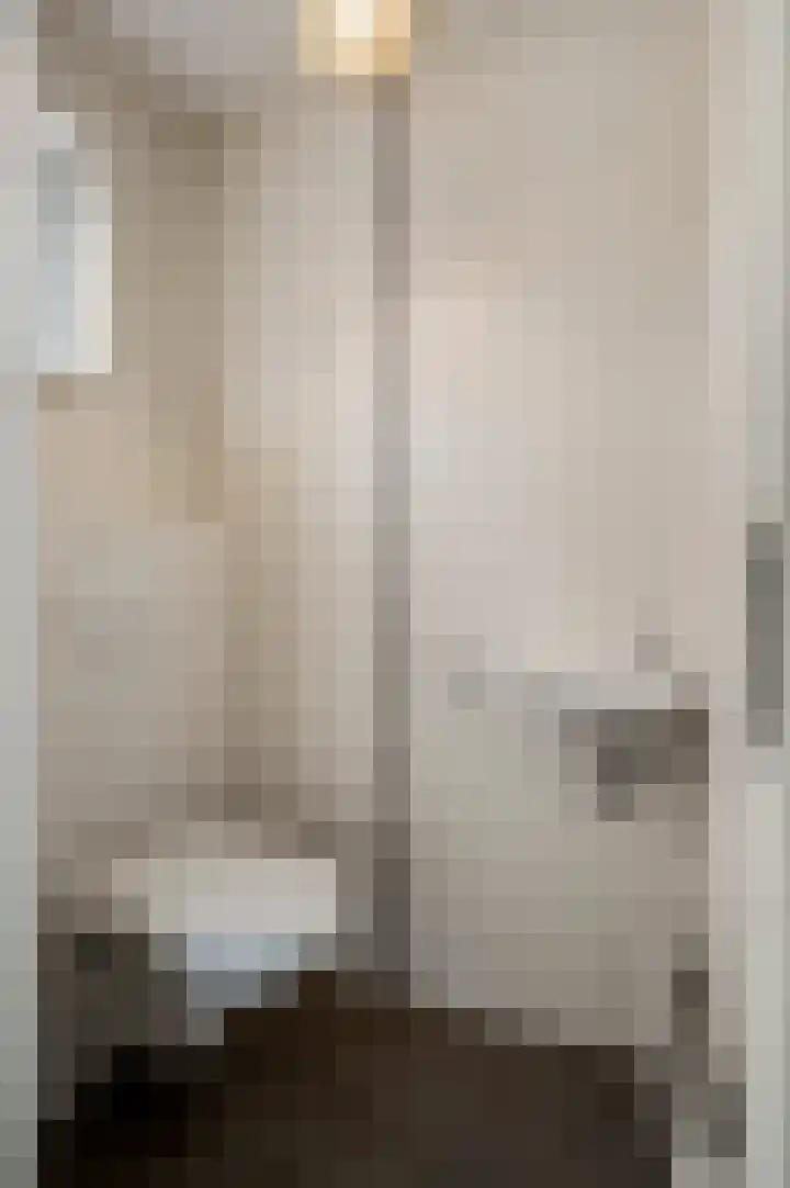 Van Frezinstraat 5 Horst thumbnail 13