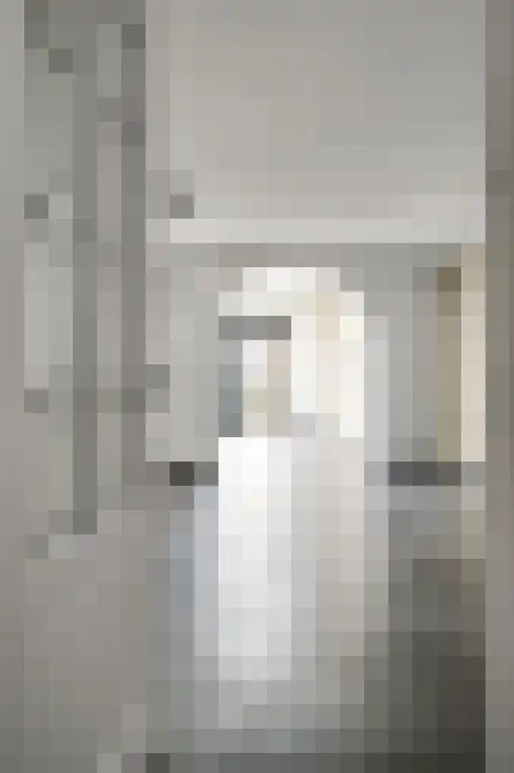 Van Frezinstraat 5 Horst thumbnail 14