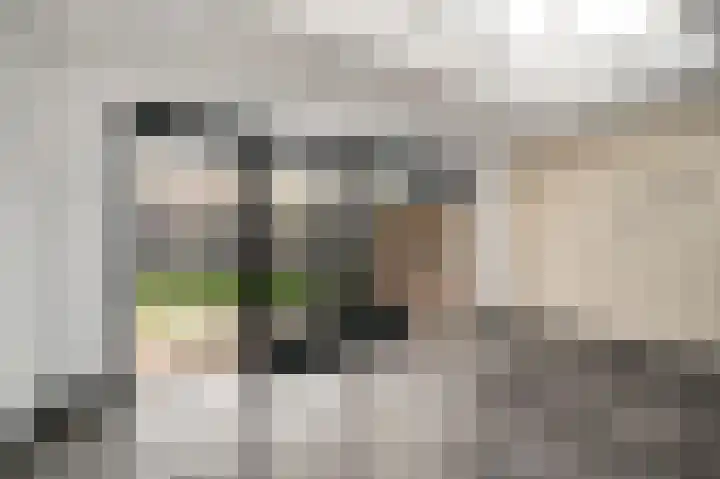 Van Frezinstraat 5 Horst thumbnail 18