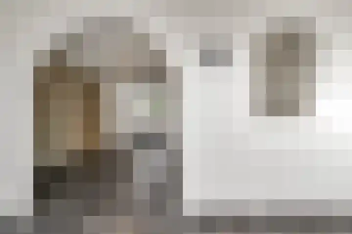 Van Frezinstraat 5 Horst thumbnail 21