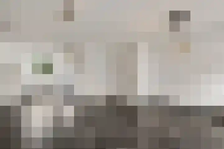 Van Frezinstraat 5 Horst thumbnail 22