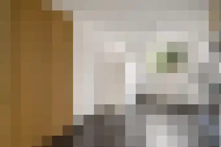 Van Frezinstraat 5 Horst thumbnail 28