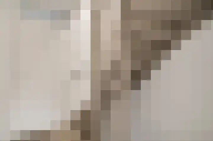 Van Frezinstraat 5 Horst thumbnail 29