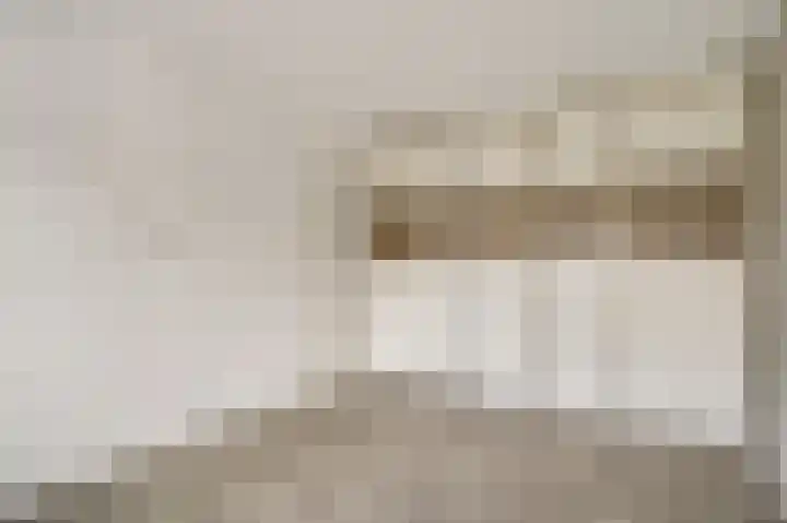 Van Frezinstraat 5 Horst thumbnail 31