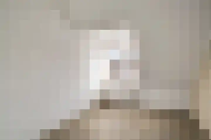 Van Frezinstraat 5 Horst thumbnail 33