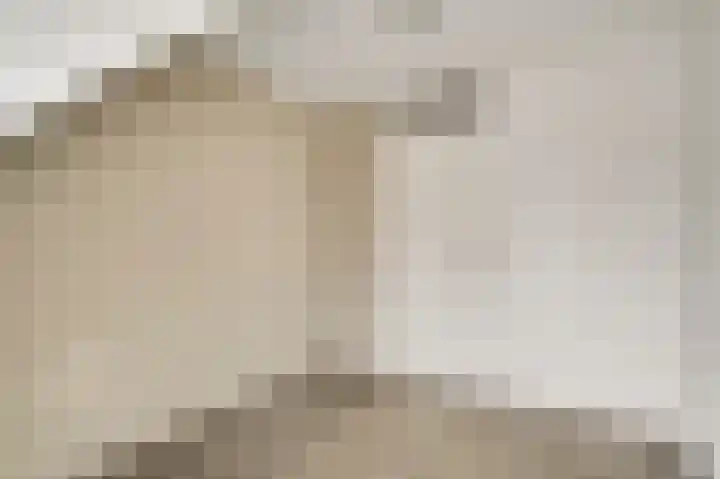 Van Frezinstraat 5 Horst thumbnail 34