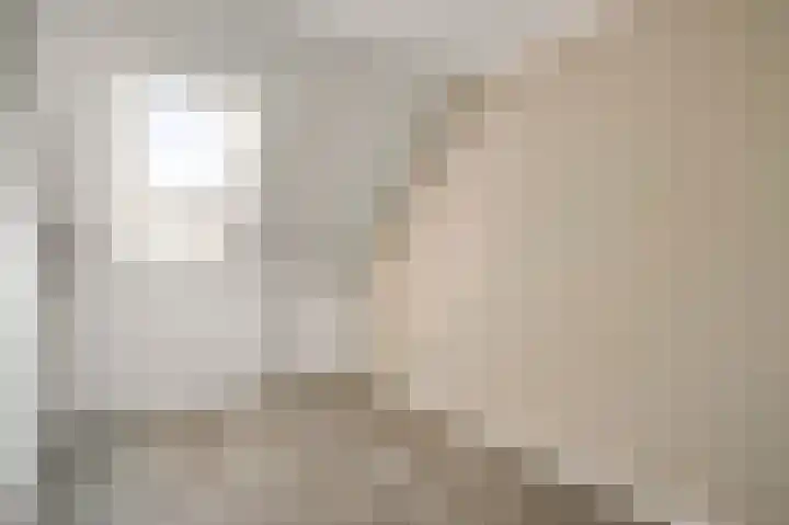 Van Frezinstraat 5 Horst thumbnail 35