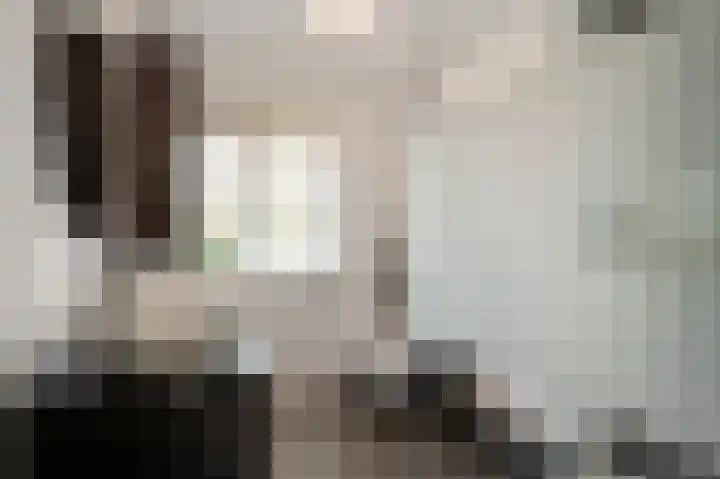 Van Frezinstraat 5 Horst thumbnail 37