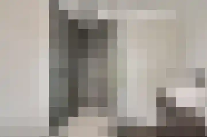 Van Frezinstraat 5 Horst thumbnail 38
