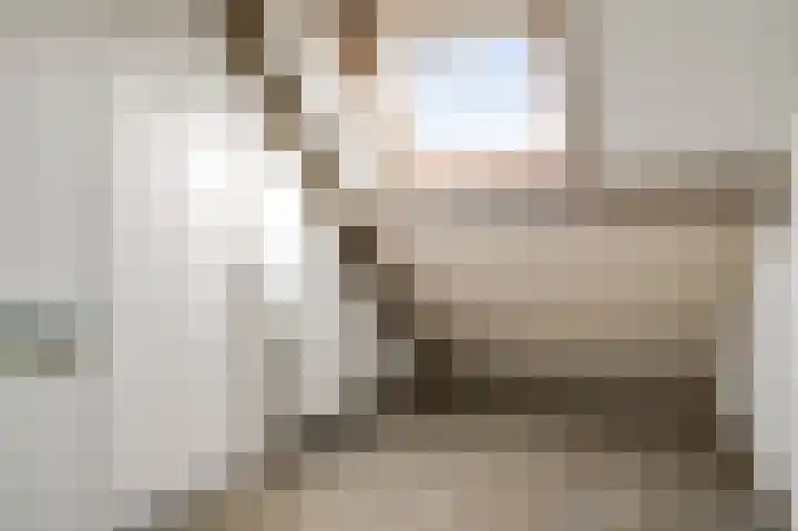 Van Frezinstraat 5 Horst thumbnail 40
