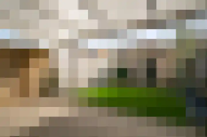 Van Frezinstraat 5 Horst thumbnail 43