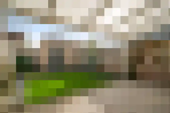 Van Frezinstraat 5 Horst thumbnail 45