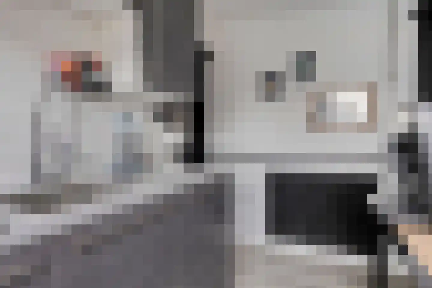 van Galenstraat 2 Goes thumbnail 10