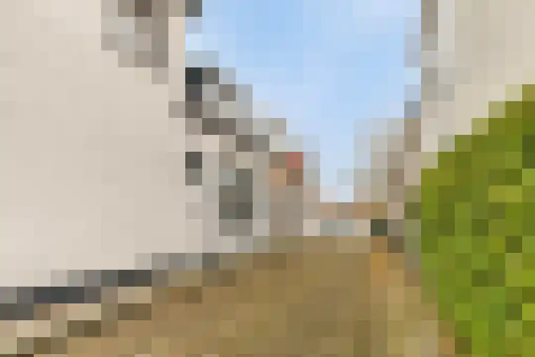 van Galenstraat 2 Goes thumbnail 5