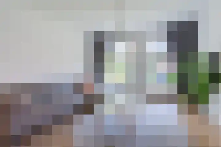 van Galenstraat 37 Bergeijk thumbnail 9