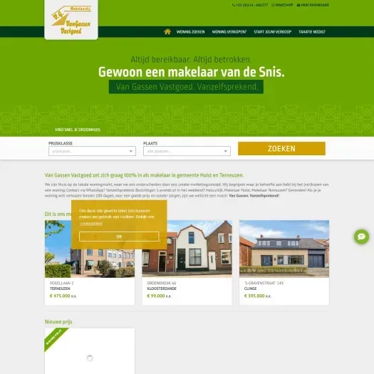 Screenshot der Website von www.vangassenvastgoed.nl