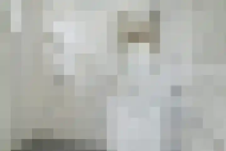 van Gaverenlaan 6 Breda thumbnail 11