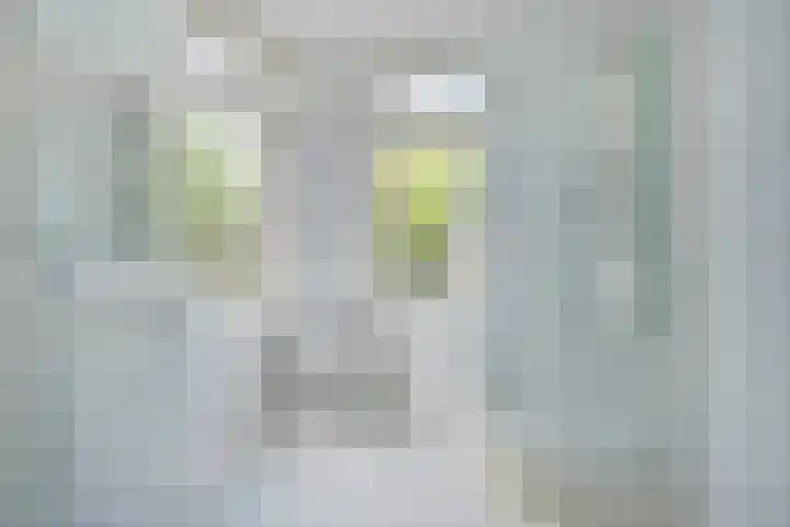 van Gaverenlaan 6 Breda thumbnail 24