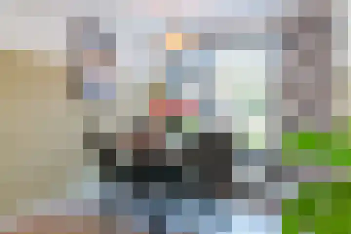 van Gennipstraat 8 Geldrop thumbnail 13