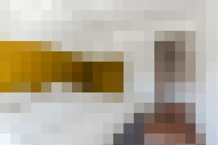 van Gennipstraat 8 Geldrop thumbnail 24