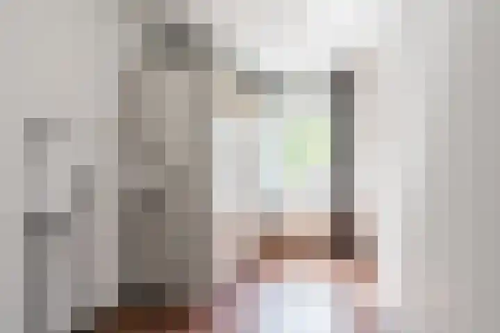 van Gennipstraat 8 Geldrop thumbnail 25