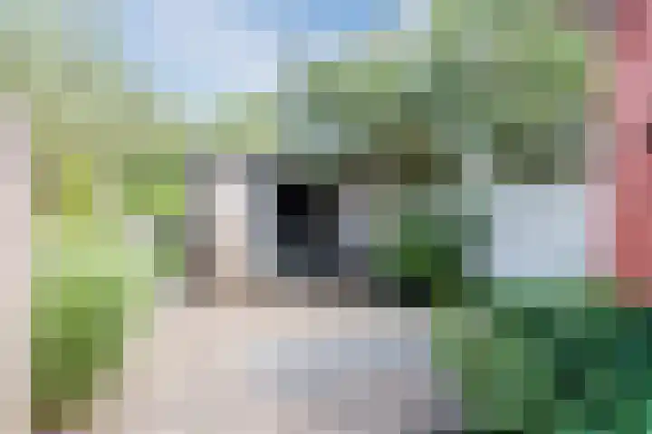 van Gennipstraat 8 Geldrop thumbnail 36