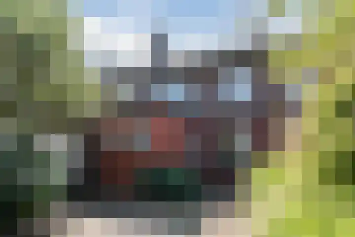 van Gennipstraat 8 Geldrop thumbnail 37