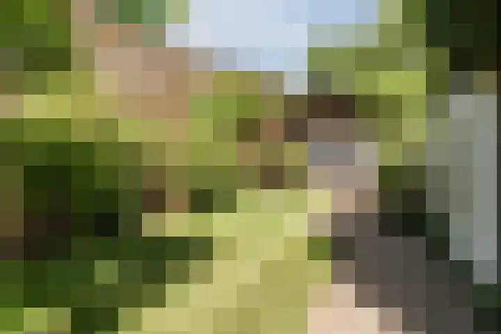 van Gennipstraat 8 Geldrop thumbnail 39