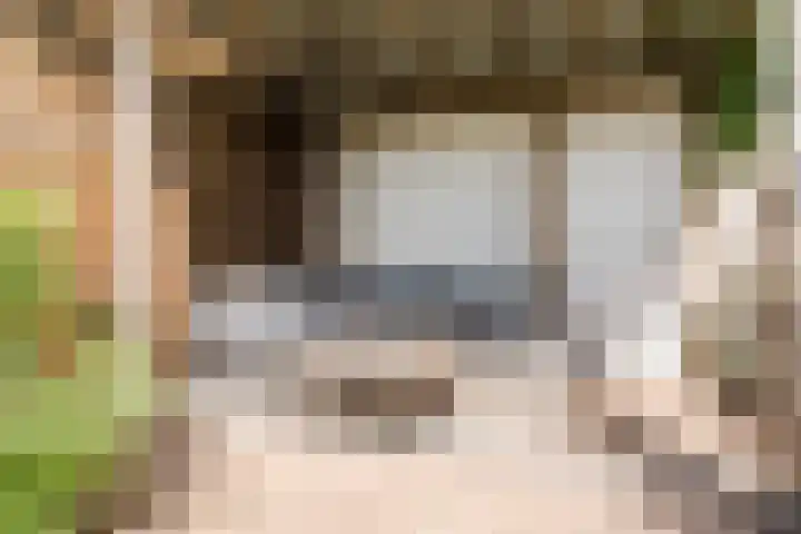 van Gennipstraat 8 Geldrop thumbnail 41