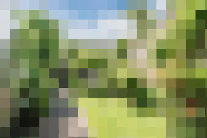 van Gennipstraat 8 Geldrop thumbnail 42