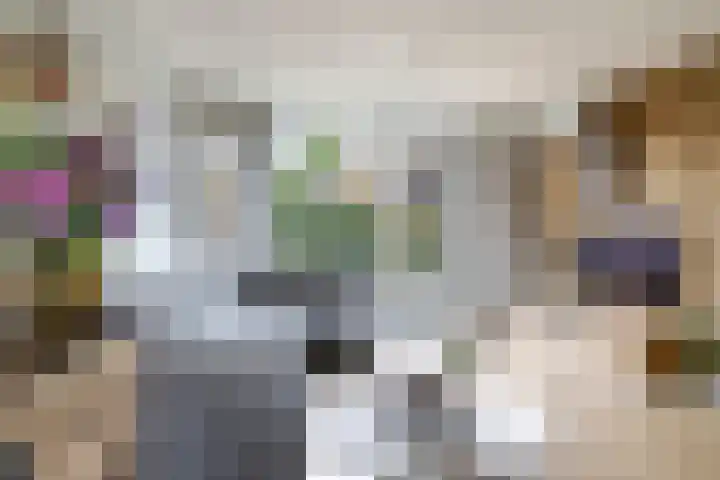 Van Gentswei 5 Arnhem thumbnail 12