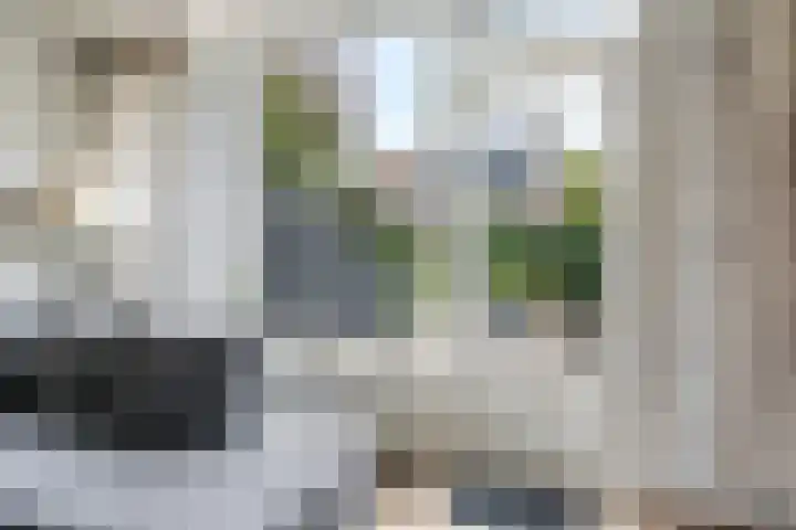 Van Gentswei 5 Arnhem thumbnail 14