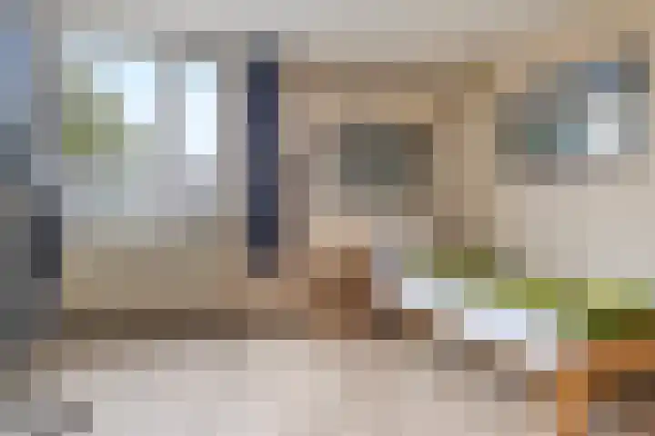 Van Gentswei 5 Arnhem thumbnail 36