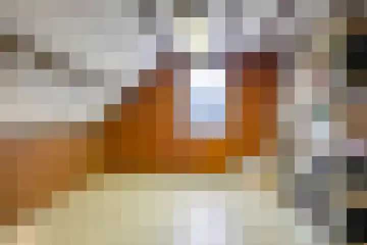 Van Gentswei 5 Arnhem thumbnail 45