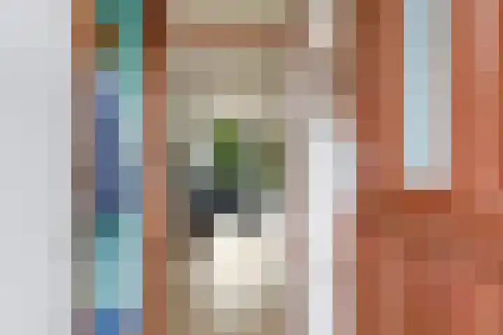 Van Gentswei 5 Arnhem thumbnail 8