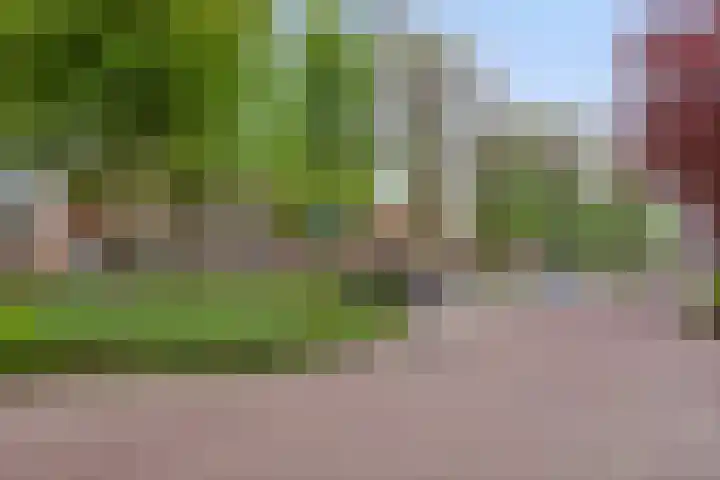 Van Gerwenstraat 11 Hapert thumbnail 4