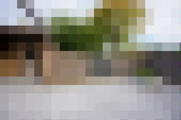 Van Goghstraat 11 in Apeldoorn