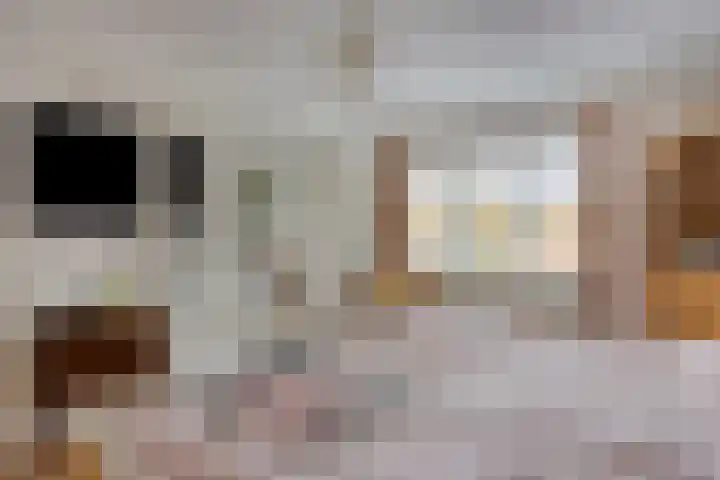 Van Goghstraat 2 Arnhem thumbnail 27