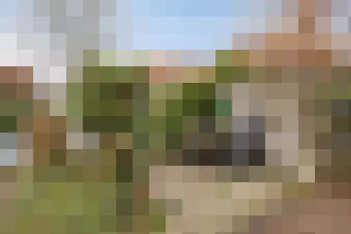Van Goghstraat 2 Arnhem thumbnail 46